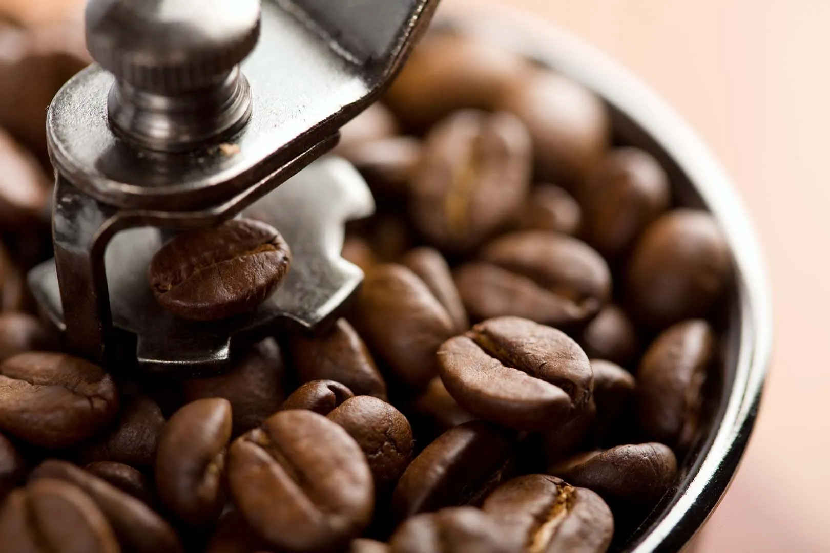 Cafe de especialidad - descubre el sabor autentico en cada taza.